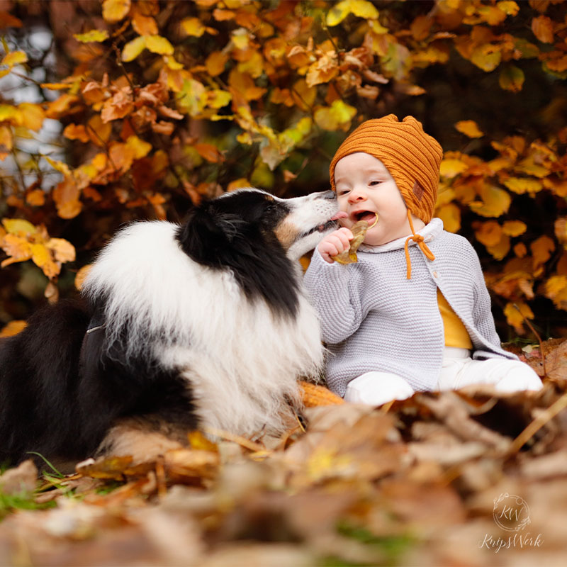 Baby und Hund sitzen zusammen in einem Laubhaufen